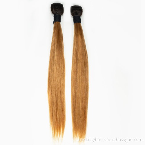 Lan-Daisy Honey Brazilian Straight Ombre Human Hair Bundles  8-26 Inches Blonde Straight Bundles Ombre Bundles Remy T27 Color